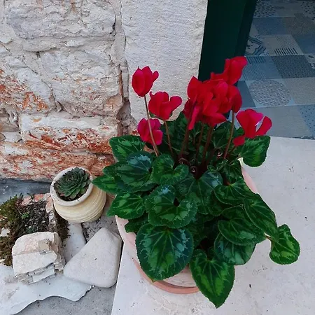 Casa Porta Hébergement de vacances *