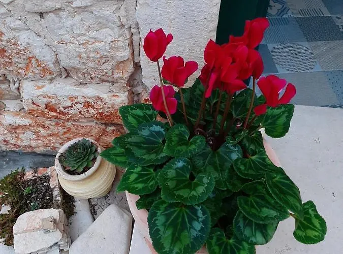 Casa Porta Σπίτι διακοπών *